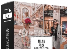 摄影师 Livia Brasil 米兰旅行摄影手机版LR预设 Milan Mobile Presets