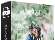 白玉兰富士400h婚礼胶片LR预设 Andrew Sun Color Magnolia Lightroom Presets