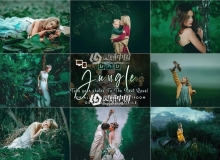 丛林森林系人像LR预设/移动APP预设 Jungle Lightroom Presets