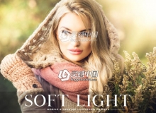 柔光人像Lightroom预设+手机版lr预设 Soft Light Lightroom Presets Pack