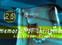 梦幻柔和圣诞节人像Lightroom预设 Christmas Lightroom Presets