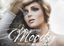 旅拍婚礼人像艺术摄影Moody Lightroom预设+移动手机版APP滤镜