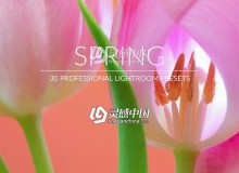 自然花卉摄影Lightroom预设 Spring Lightroom Presets