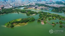 实拍视频素材-广州海珠区海珠湖公园景色航拍视频素材