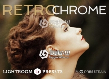 室外人像复古风格Lightroom预设 Retrochrome Lightroom Preset Pack