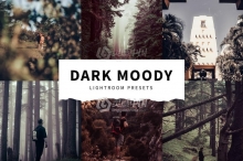 黑暗情绪旅拍风光胶片Lightroom预设 10 Dark Moody Lightroom Presets