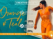 Instagram流行色Orange & Teal Lightroom预设+手机版APP滤镜
