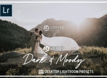 复古胶片黑暗冷色调LR预设 Desktop Presets Dark & Moody