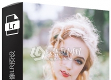 梦幻森系婚礼人像LR预设 Modern Market Adeline Lightroom Presets