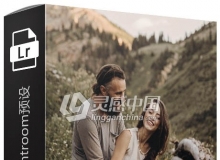 胶片大师系列Lightroom预设 Rock Sandretto Lightroom Preset Pack