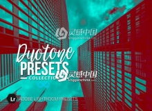 双色调Lightroom预设 Duotone Collection Lightroom Presets