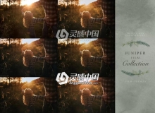 Paisley Ann黄金时段电影胶片Lightroom预设 JUNIPER FILM COLLECTION