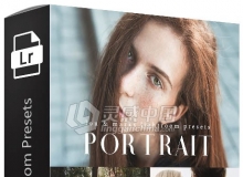 人像修饰Lightroom预设 Portrait Lightroom Presets