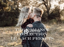 浪漫婚礼艺术摄影LR+ACR预设 Shae Estella Photo The Romance LR ACR