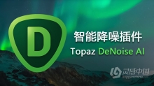 Topaz DeNoise AI for mac | AI人工智能磨皮降噪插件Topaz DeNoise AI for mac v2.4.1最新版