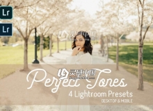 外拍通透清晰胶片人像LR预设+手机版lr预设 Perfect Tones Lightroom