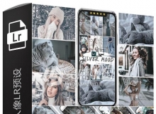 银灰色系旅拍人像LR预设+手机lr预设 Silver Mood Lightroom Presets