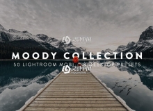 喜怒无常旅拍胶片LR预设+3DLUT预设 Moody Lightroom Presets and LUTs