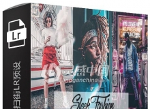 城市风景夜拍时尚扫街Lightroom预设+手机版APP预设Sleek Fashion LR