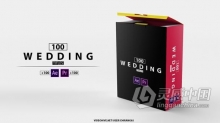 AE模板PR模板 Wedding Titles 100组婚礼视频徽章标题动画 PR与AE工程文件