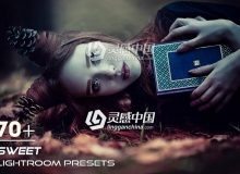 梦幻时尚婚礼人像Lightroom预设 Sweet Presets Lightroom Presets