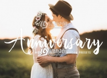 家庭生活人像Lightroom预设+手机版LR预设 Anniversary Lightroom