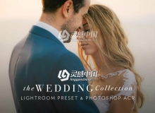 独家婚礼电影胶片Lightroom预设 30 Wedding Pro Lightroom Presets
