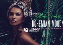 喜怒无常的电影胶片Lightroom预设+手机版LR预设 Moody presets