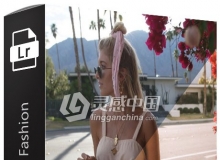 网红博主DoYouTravel时尚人像Lightroom预设+手机版预设 Fashion LR