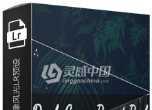 黑暗情绪电影旅拍人像风光LR预设/手机LR预设Dark Green Pack