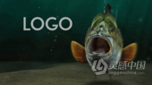 AE模板 深海水下泡沫鱼冲过转场展示LOGO动画钓鱼开场 AE工程文件