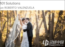 罗伯托·巴伦苏埃 101个婚礼摄影技巧视频教程