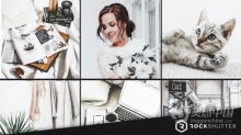 中性灰白色调居家人像产品摄影lightroom预设/APP预设 WHITE PRO Presets