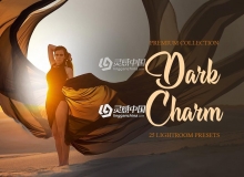 黑暗的魅力通透人像Lightroom预设 Dark Charm Presets for Lightroom