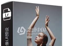 摄影师Eva Nys舞蹈摄影 - 伊娃的舞蹈类人像Lightroom预设
