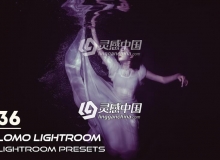 Lomo风格Lightroom预设 36 Lomo Lightroom Presets