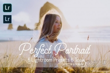 室内外完美人像Lightroom预设|手机APP滤镜 Perfect Portrait Lightroom Presets