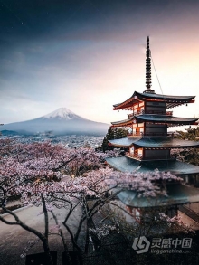 日系摄影师山口幸树(Kohki Yamaguchi)2020签名Lightroom预设 Signature Preset Pack by Kohki