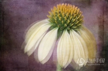 PS添加纹理及后期图像处理视频教程 Working With Textures - Workshop