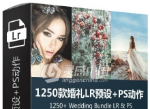 1250款婚礼Lightroom预设+PS动作 1250+ Wedding Bundle LR & PS