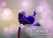 散景光斑Lightroom预设 60 Bokeh Lr Presets