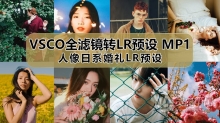 LR预设 VSCO全滤镜转LR预设文青调色日系小清新人像旅拍婚礼LR预设 Lightroom预设 VSCO MP1