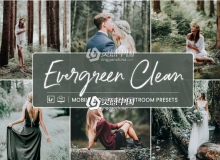 森系电影胶片LR预设+手机lr预设 Lightroom Presets Evergreen Clean