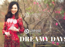梦幻色彩增强手机版LR预设 Dreamy Days Lightroom Mobile Presets