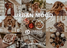 巧克力棕色旅拍Ins人像Lightroom预设+手机版APP滤镜Urban Mood LR