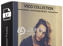Vsco Cam Lightroom预设 Vsco Cam Filters Lightroom Presets