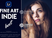 婚礼人像电影风格色调Lightroom预设Fine-Art Indie Lightroom Presets