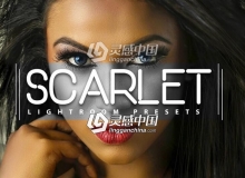 时尚肖像婚礼街拍INS博客摄影人像Lightroom预设Scarlet Lightroom