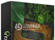 Audio Jungle超级音效配乐库精选影视片头AE模板音乐第70辑