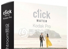 经典柯达胶卷Lightroom预设 Kodak Pro Lightroom Presets